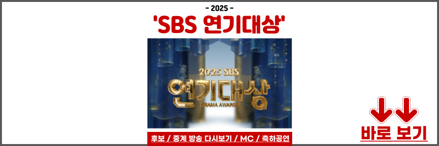 2025 SBS 연기대상