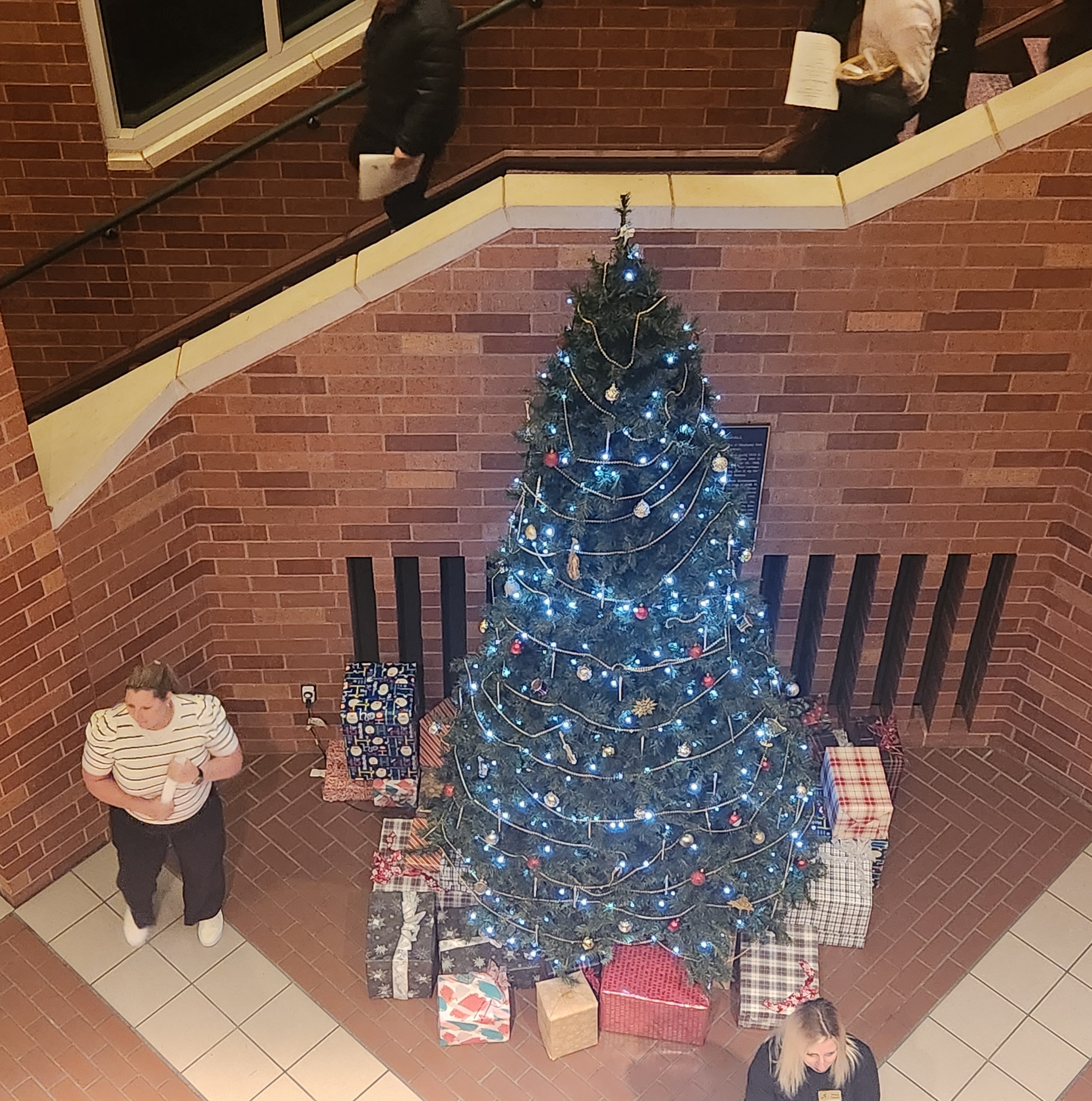 오클라호마대학의 트리모습입니다.