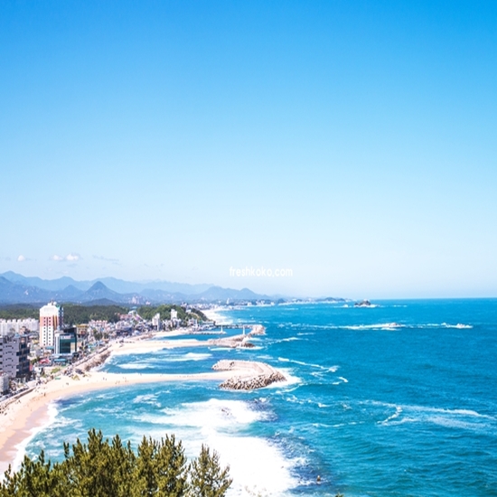 강원도 여름휴가 여행지 추천