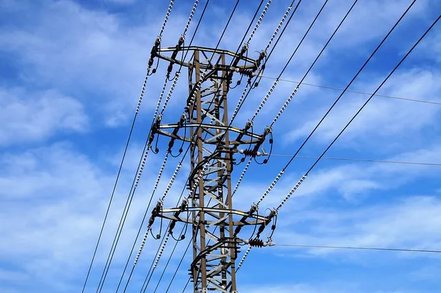 펫시터자격 교육과정 활동영역 창업준비 시니어 돌봄 일거리 찾기_8