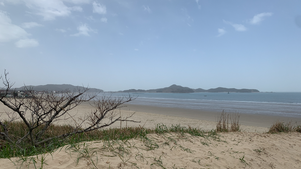 신두리 해안 사구에서 바라본 바닷가