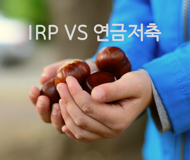 직장인 IRP VS 연금저축
