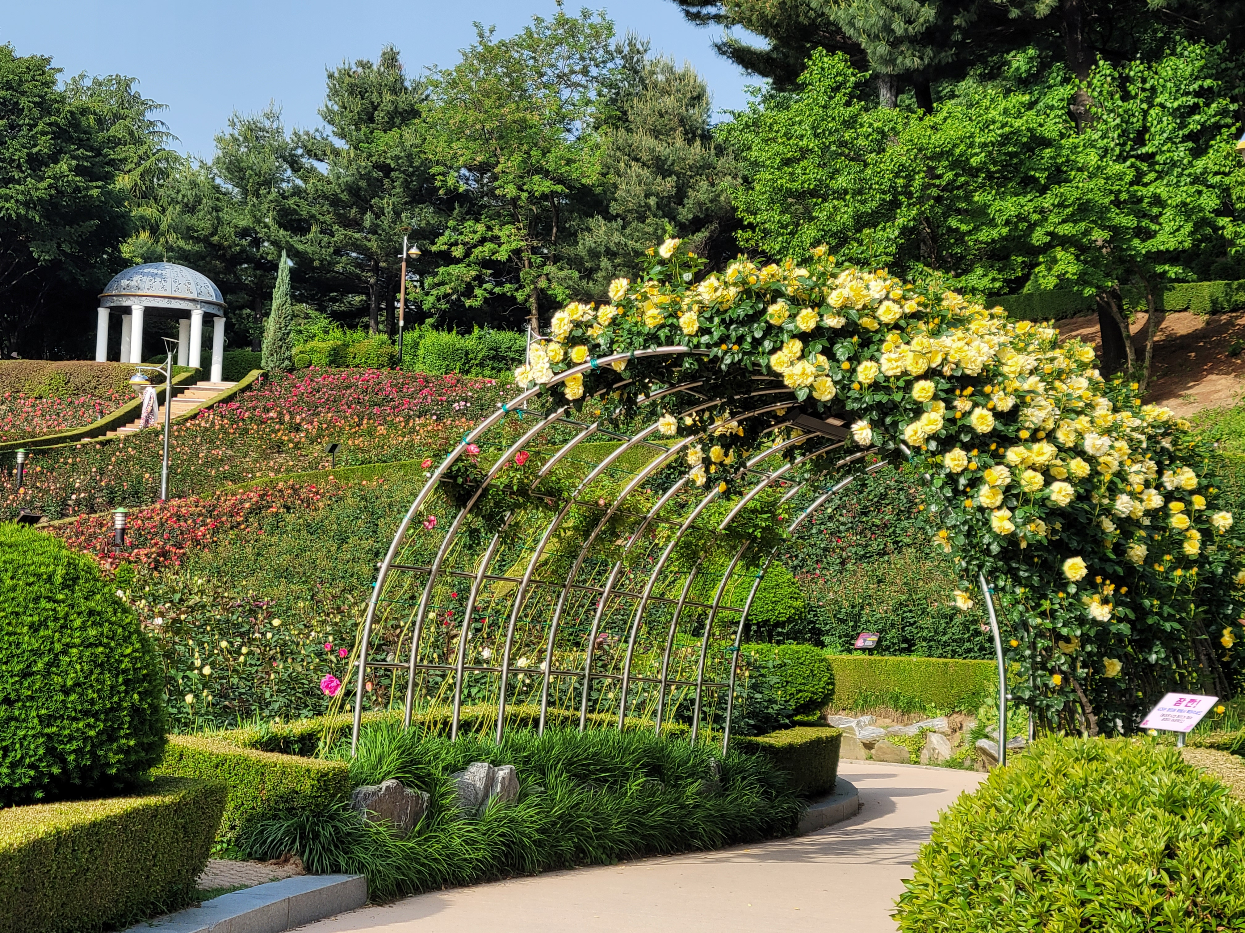 백만송이장미축제 포토존