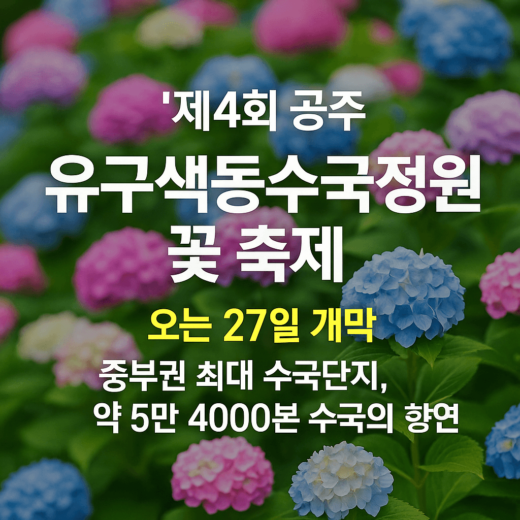 공주 유구색동수국정원 꽃 축제