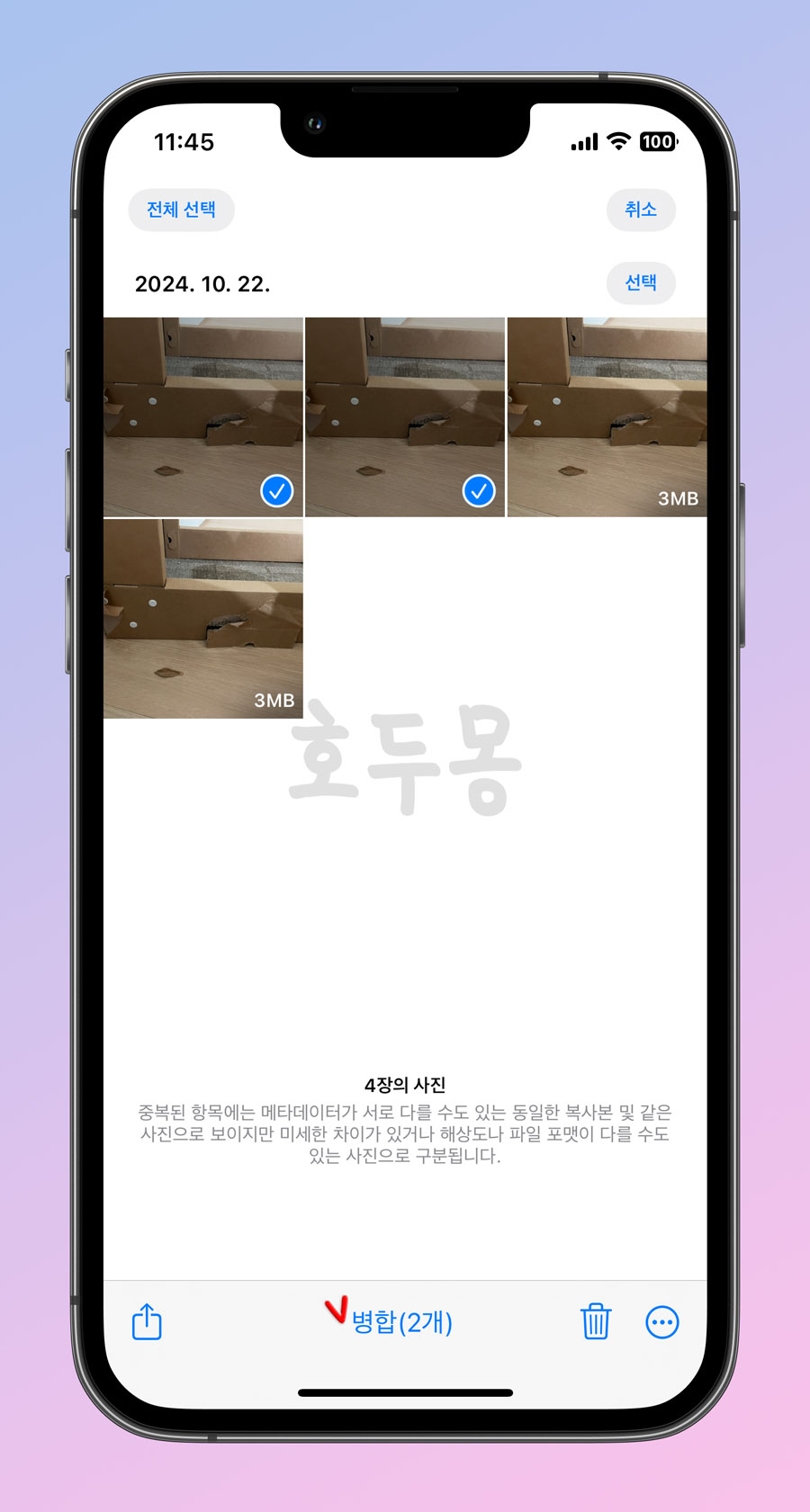 일부 병합