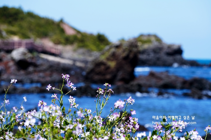 제주도 가볼만한곳 10곳