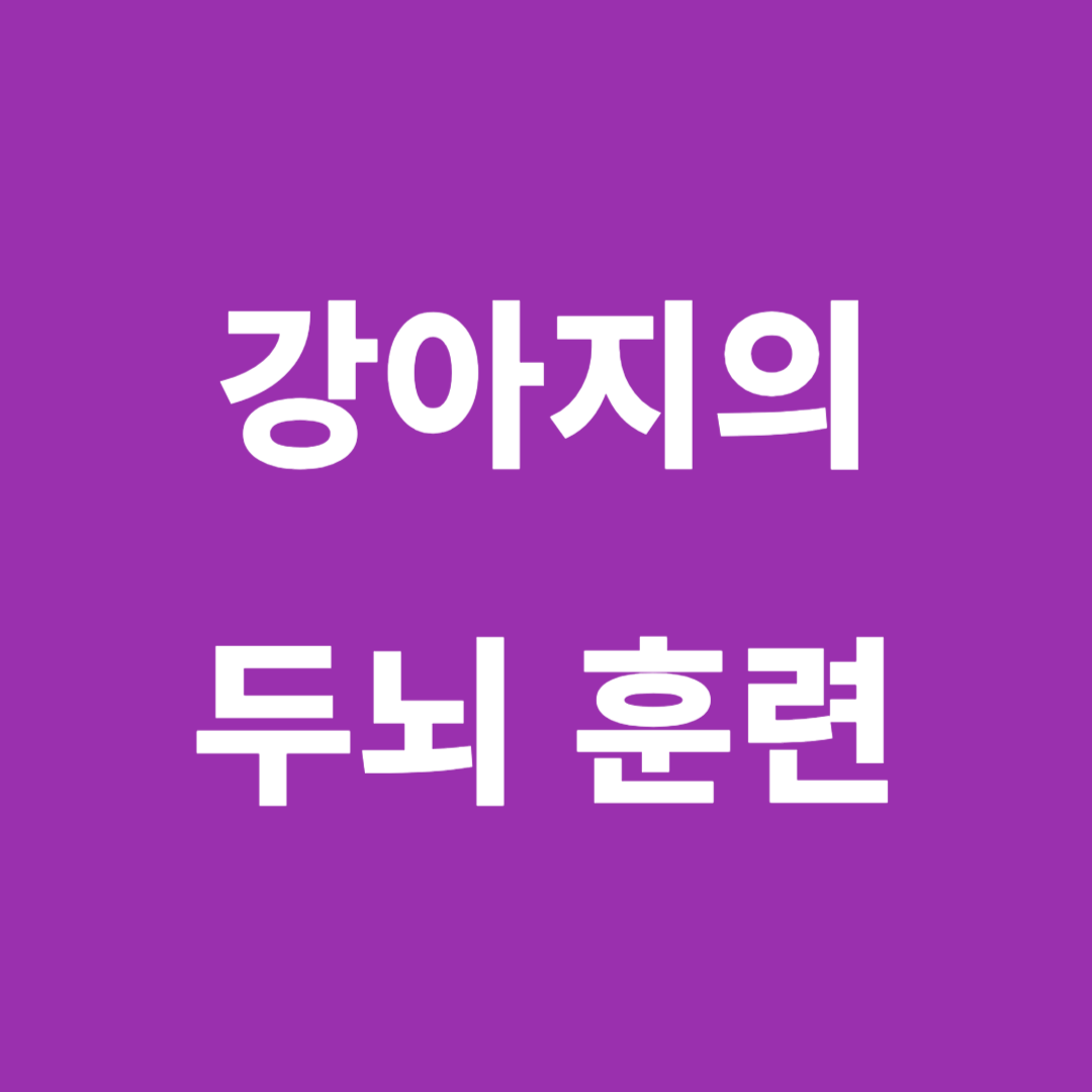 강아지 두뇌 훈련 이미지
