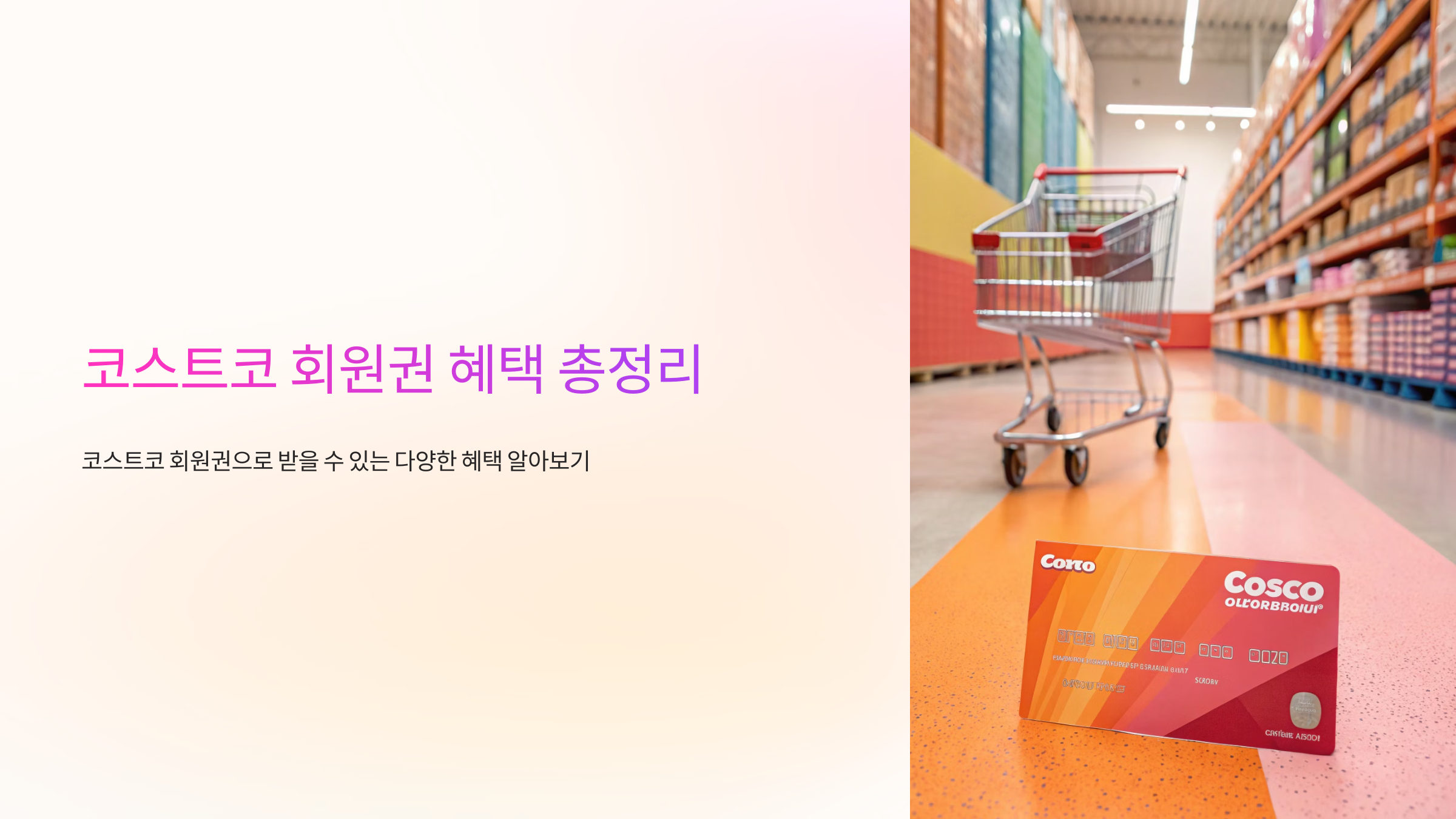 코스트코 회원권 혜택 총정리