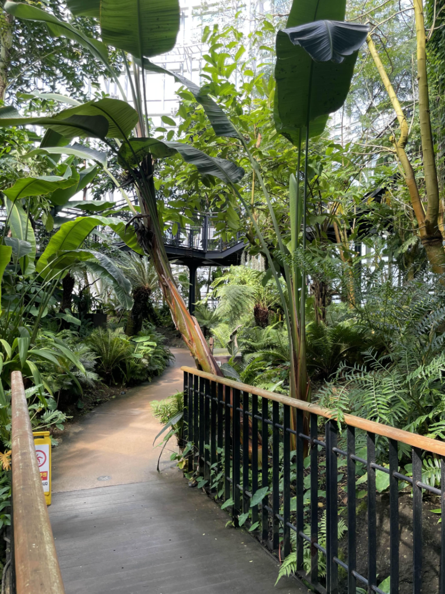 국립 세종수목원 사계절 전시온실 열대식물전시원