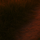 『서랍에 저녁을 넣어 두었다』 &ndash; 한강&amp;#44; 고독과 삶을 담은 첫 시집