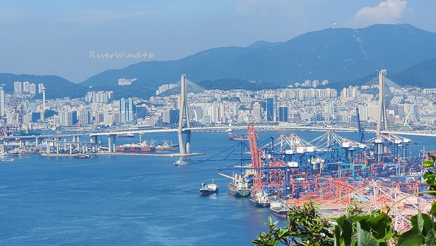 신선대 무제등(無帝嶝)에서 보는 부산대교와 북항