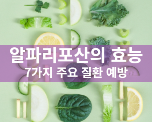 알파리포산 효과 효능