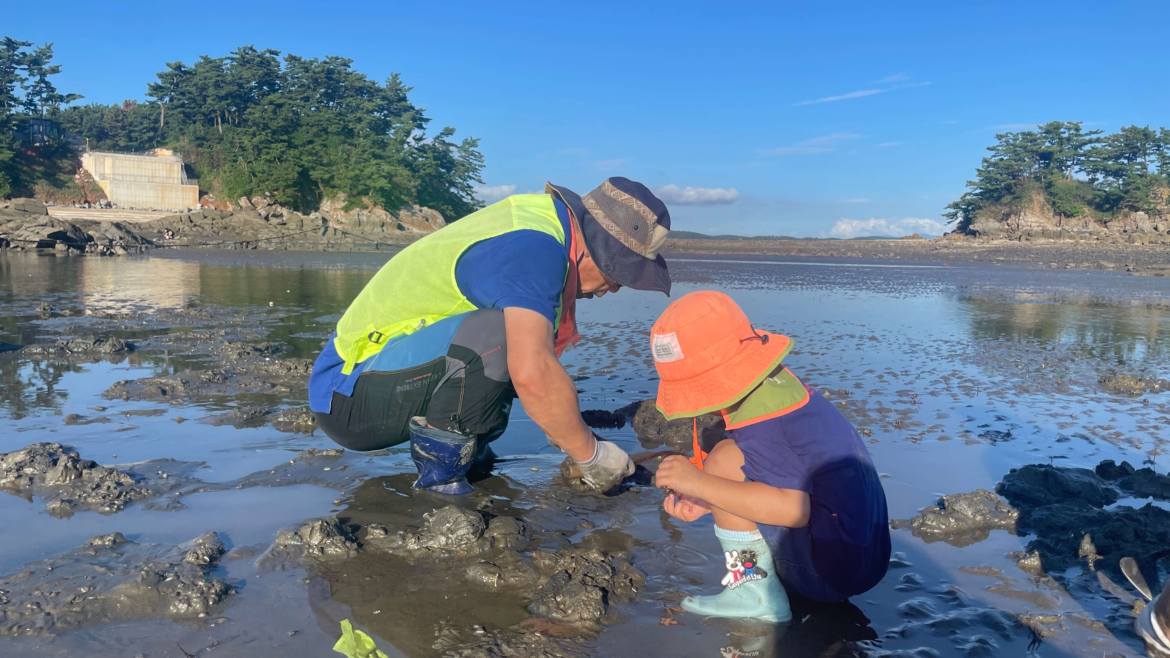 손자와 함께 하는 조개캐기