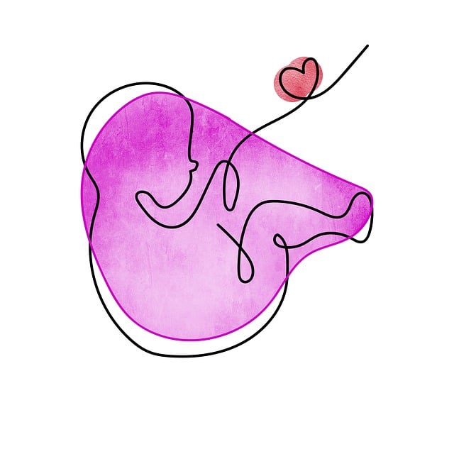 태아보험 트렌드 (출산 전 꼭 확인!) 관련 이미지