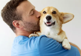 강아지사진/출처:어도비스톡