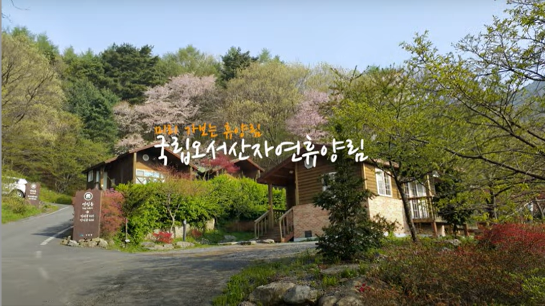 자연휴양림