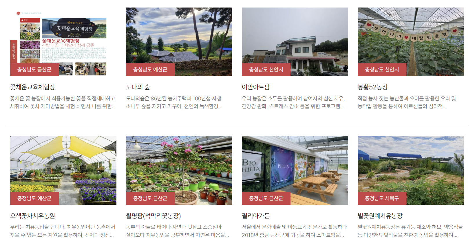 충청지역 금산, 예산, 논산, 보령, 보은 치유농원 프로그램