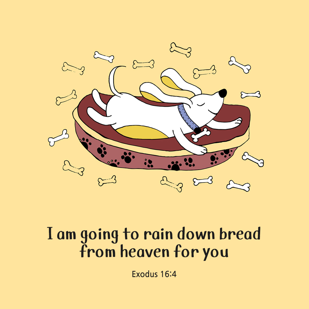 I am going to rain down bread from heaven for you. (Exodus 16:4)