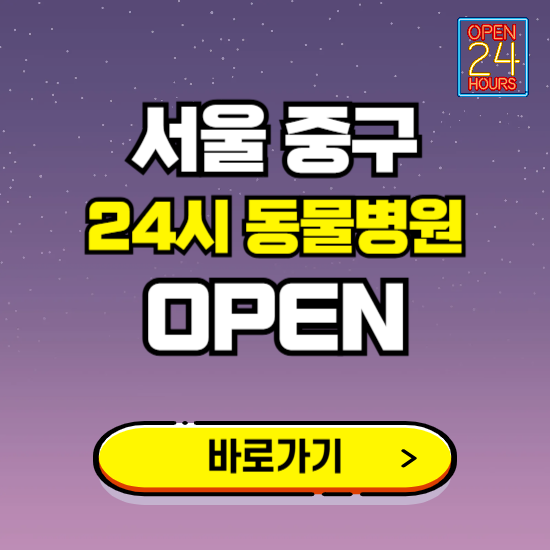 서울 중구 24시 동물병원 진료하는 곳 ❘ 설날 휴일 야간 심야 문여는곳 찾기 ❘ 응급진료