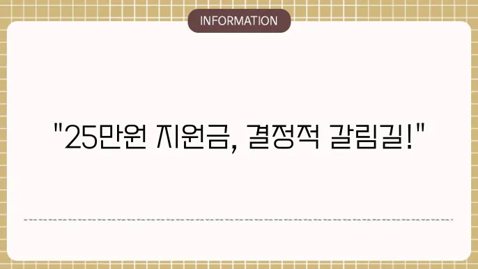 민생지원금 25만원 거부권: 논의 현황