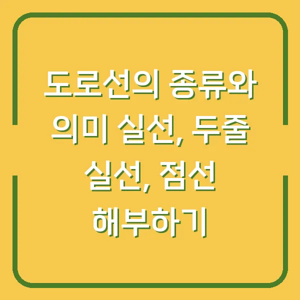 도로선의 종류와 의미 실선, 두줄 실선, 점선 해부하기