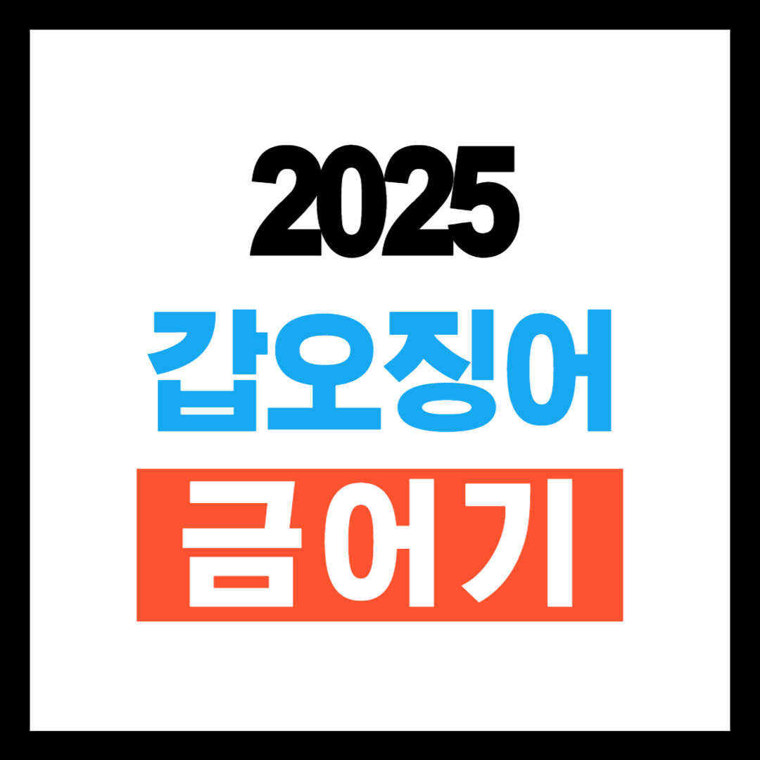 2025 갑오징어 금어기
