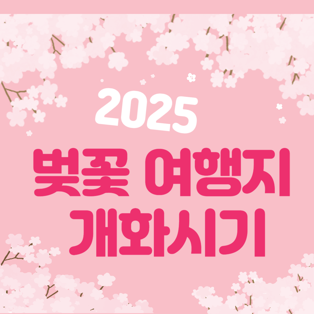 2025년 벚꽃 개화 시기 완벽 가이드: 예측부터 명소까지 한번에!