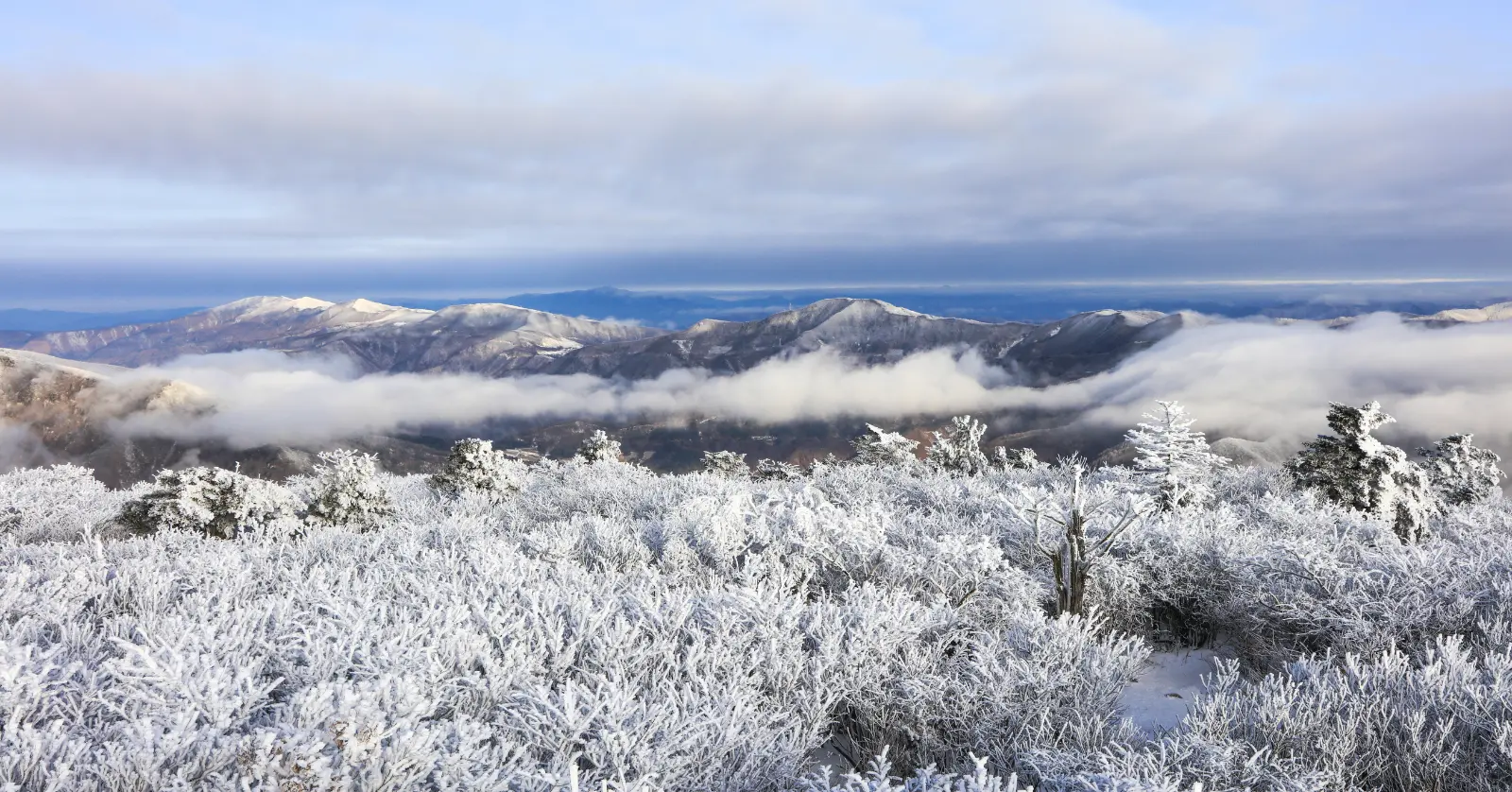 국립공원 실시간 CCTV Q&A