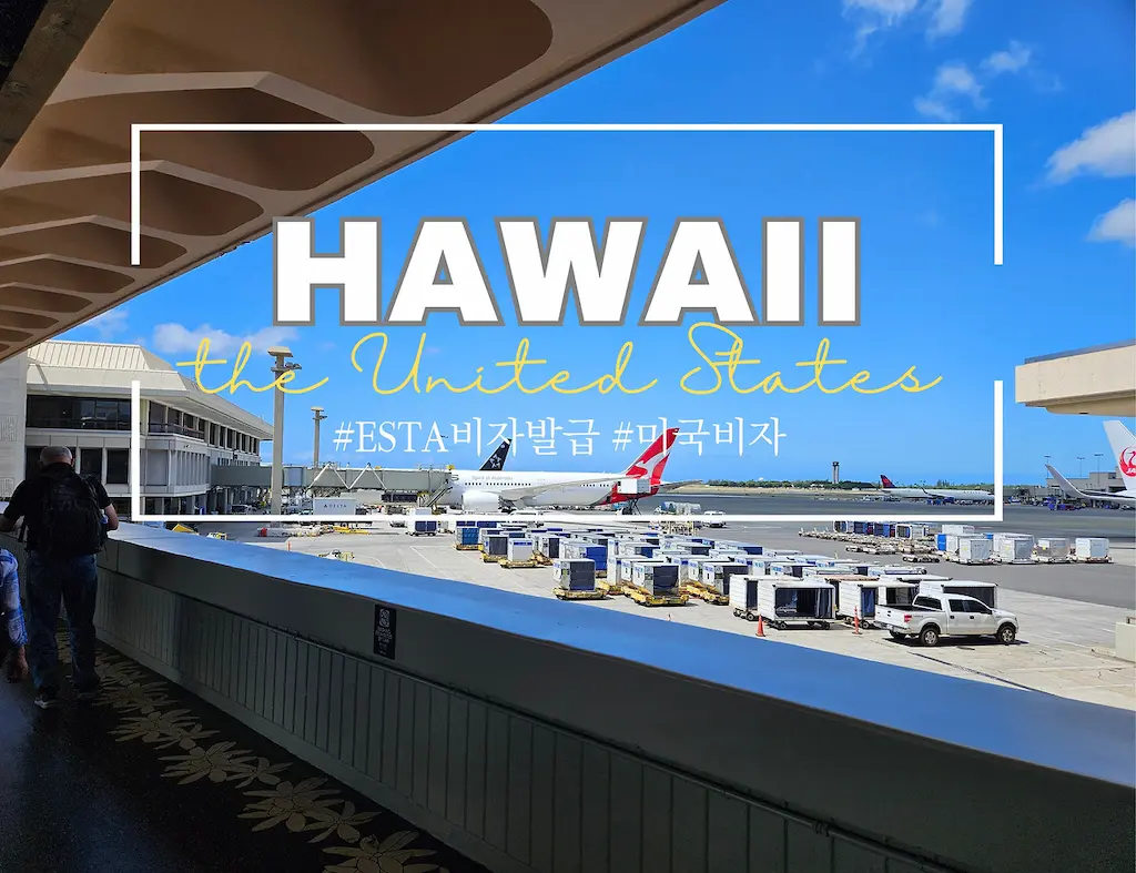 호놀룰루 공항의 비행기