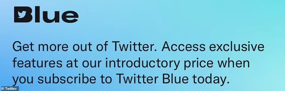 머스크 인수 트위터는 어떻게 바뀌나 VIDEO: HOW COULD MUSK CHANGE TWITTER?