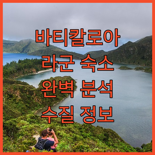스리랑카 바티칼로아 라군 인근 숙소 ..