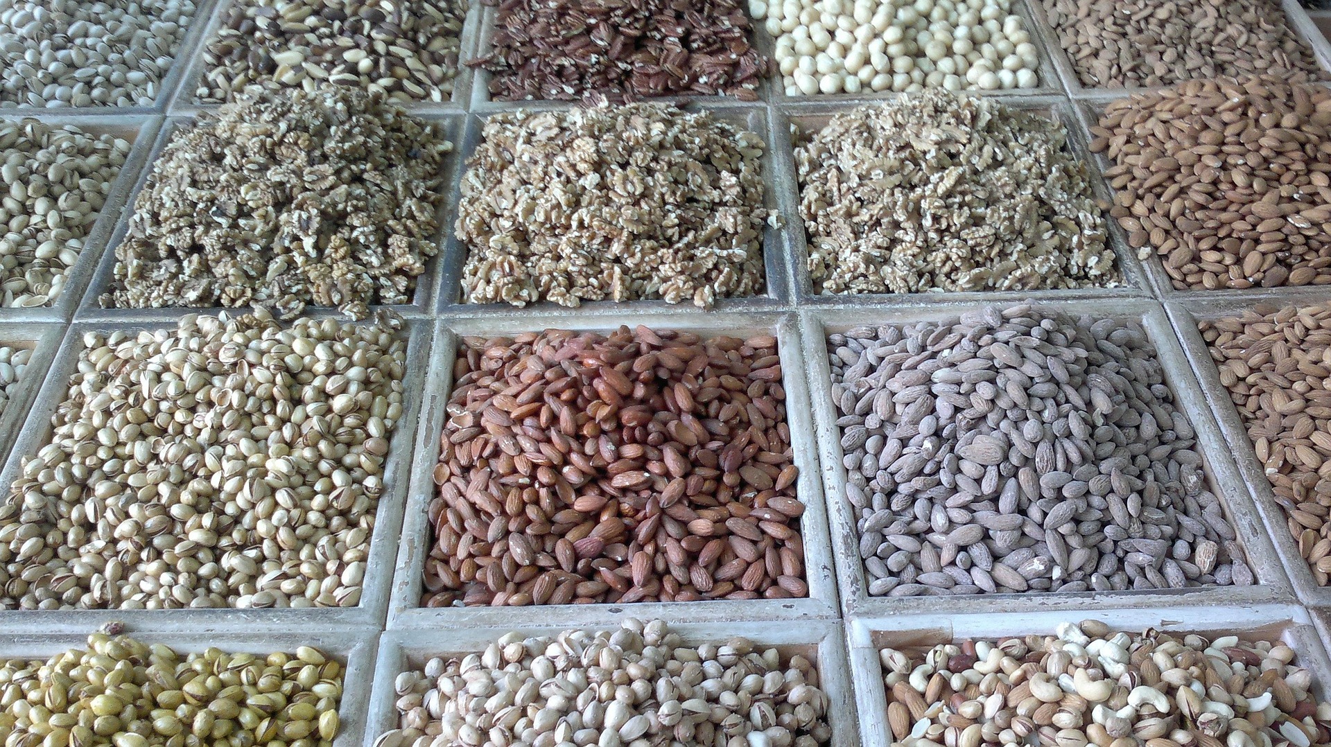 건강 보조 식품의 성분을 공부하며, 내 삶의 속도가 달라졌다