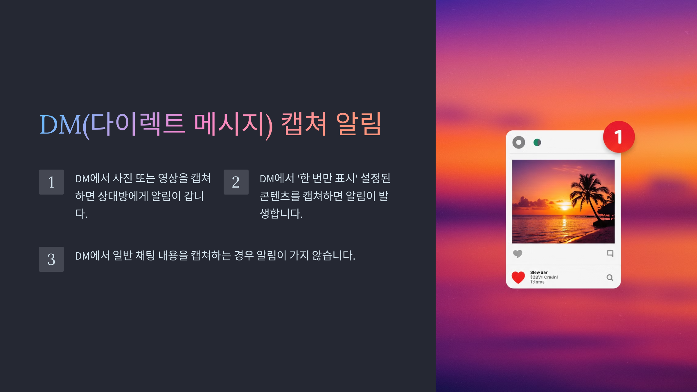 DM(다이렉트 메시지) 캡쳐 알림 여부