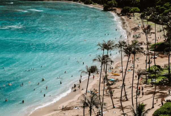 하와이 자유여행: 섬별 완벽 가이드