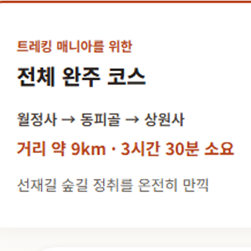 오대산 선재길 단풍