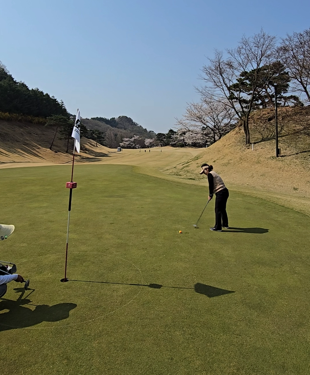 초보골퍼 퍼터하는 사진