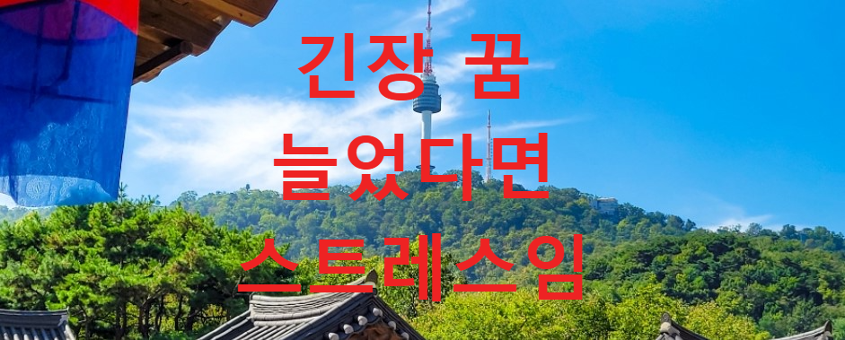 꿈과건강