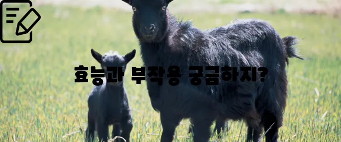 흑염소 효능과 부작용