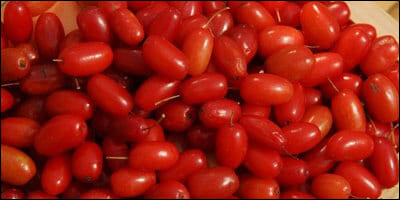 신선한 산수유 생과