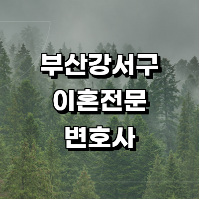 부산 강서구 이혼 변호사