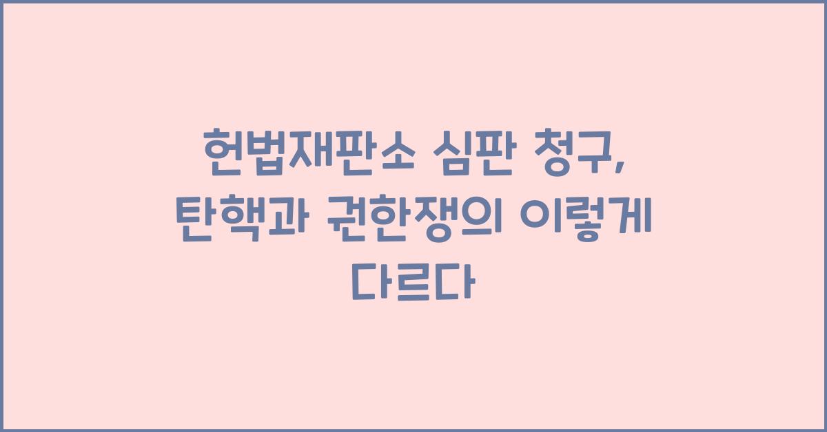 헌법재판소 심판 청구