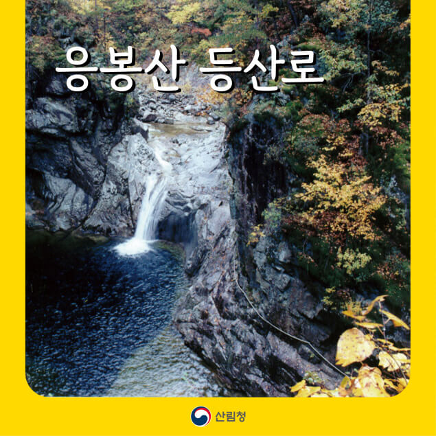 삼척 응봉산 등산로 &ndash; 숲과 바다를 잇는 명품 트레킹