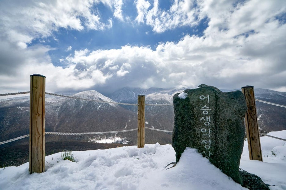 제주 겨울여행 나만의 취향으로 만나는 7가지 여행