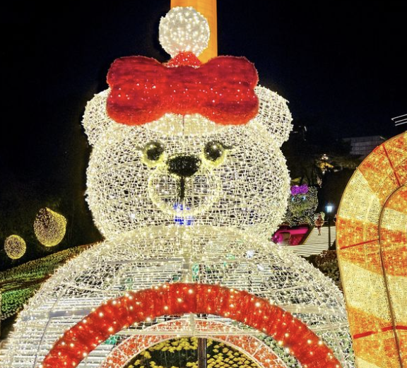 이월드 일루미네이션 사진