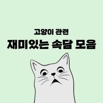 내 인생을 바꿀 속담 10가지 슬기로운 삶의 지혜_24