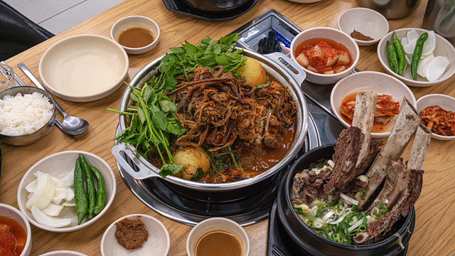 제주 전농로 근처 맛집 추천 벚꽃여행 소도리왕뼈다귀 제주냉삼시대 모던그릴 옛날홍가네칼국수 원영식당 킷사핫피엔도 호성식당 북경반점 모렐로제주 명동찌개마을