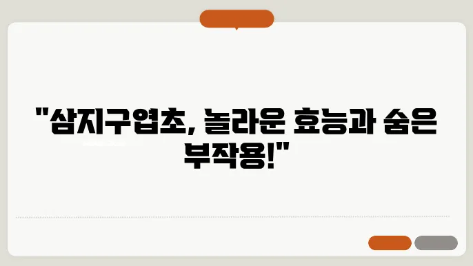 삼지구엽초 효능 부작용 알아봐요