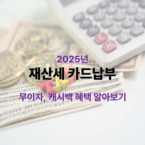 2025 재산세 카드납부