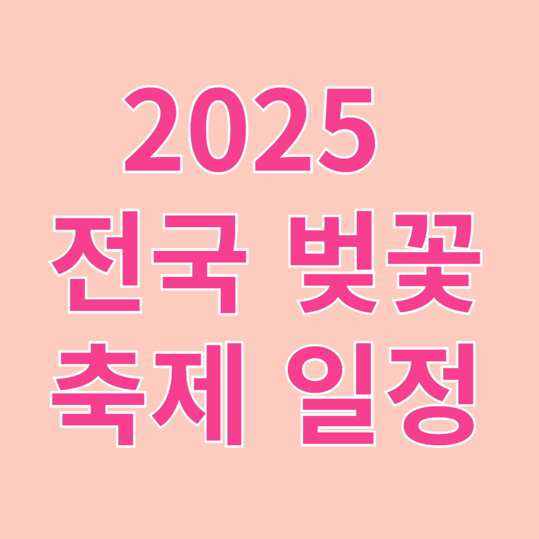 2025 전국 벚꽃축제 일정 총정리(지역별 벚꽃축제 가이드)