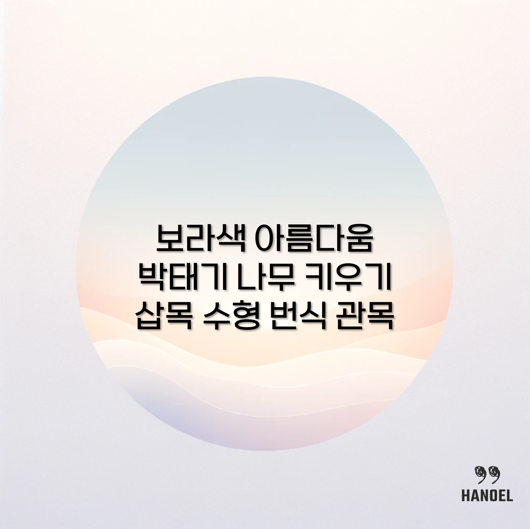 보라색 아름다움 박태기 나무 키우기 삽목 수형 번식 관목